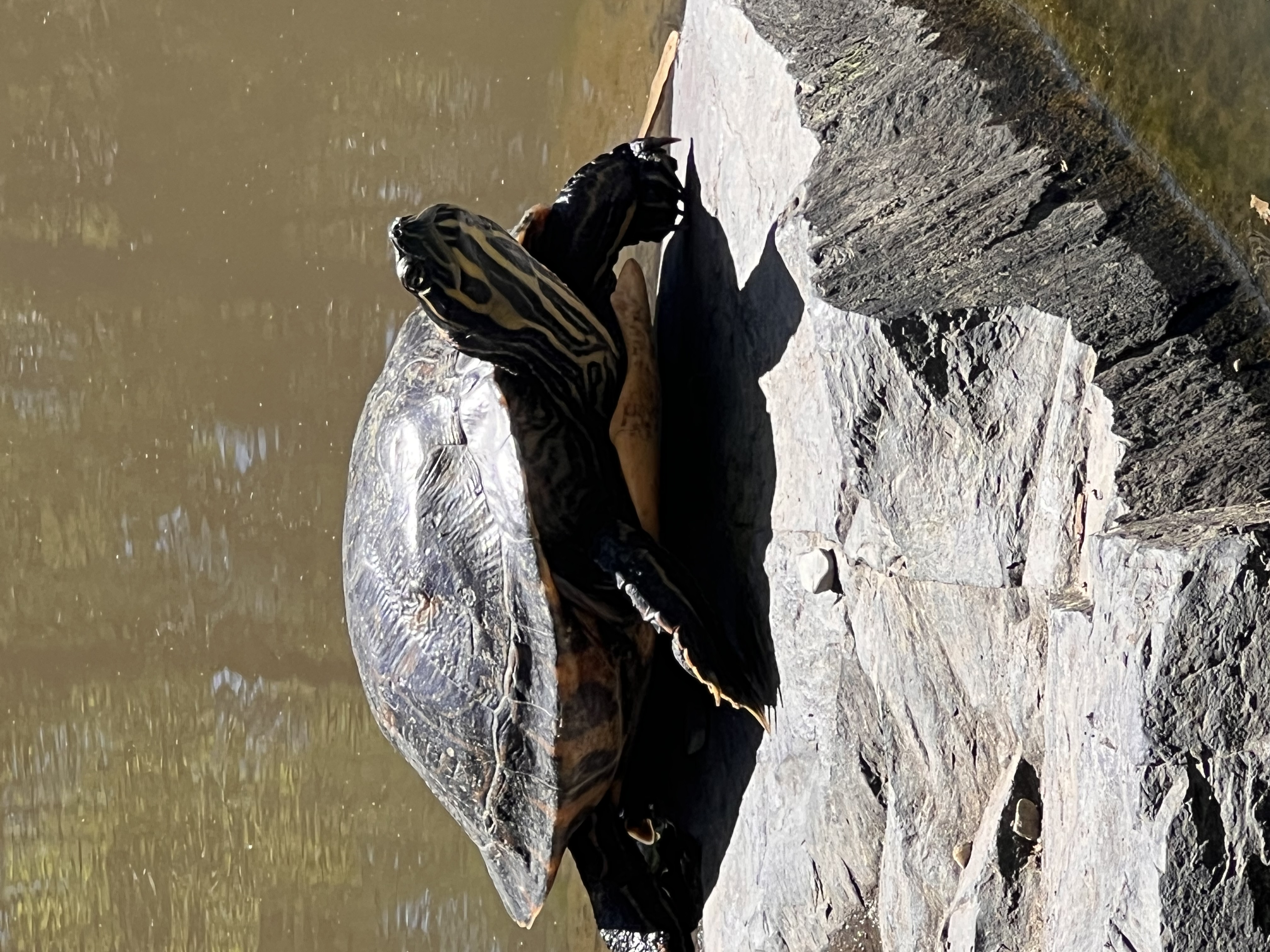 ./2023/05 - Toni Adventures/IMG_3164.JPG